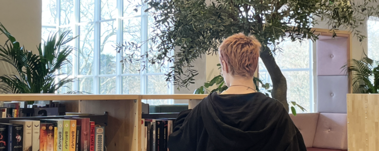 Biblioteksmiljö. En svartklädd person står med ryggen mot kameran. Tittar i en bokhylla. I bakgrunden stora fönster och en inomhusväxt.
